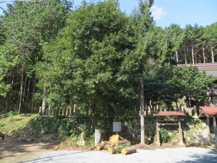 丹波篠山市下板井/川内多々奴比神社写真