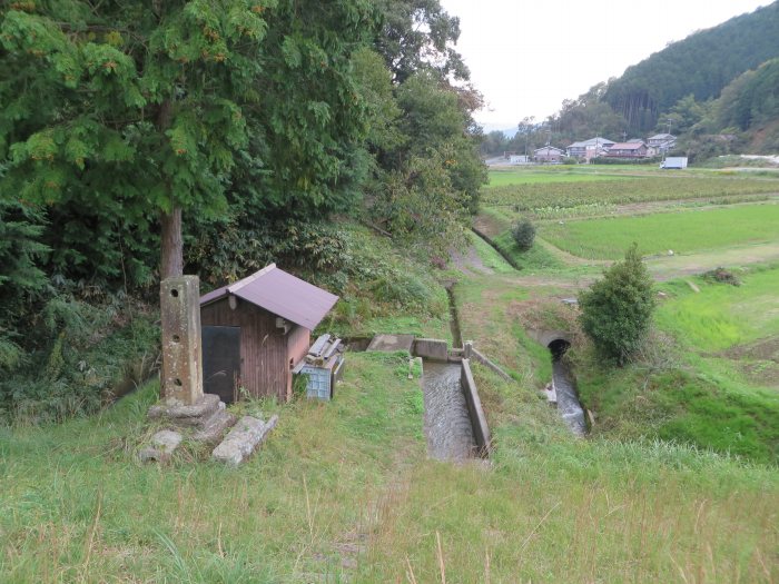 丹波篠山市東木之部/乗本池写真