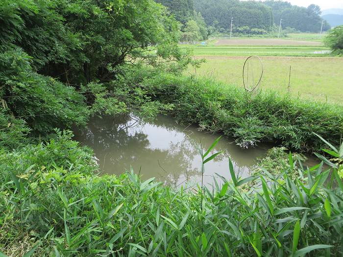 丹波篠山市北野新田/池写真