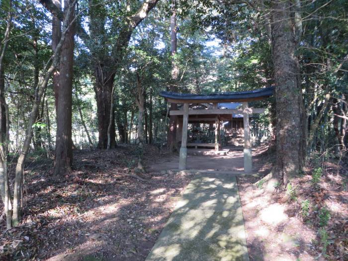 丹波篠山市今福/熊野神社写真