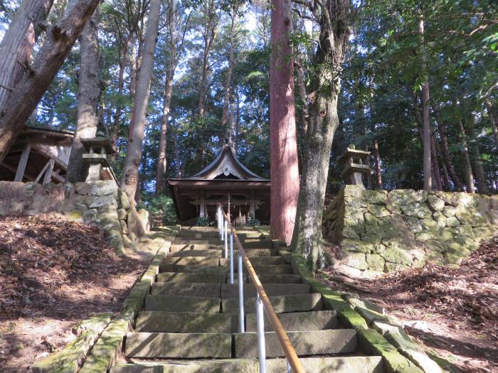 丹波篠山市矢代/大歳神社写真