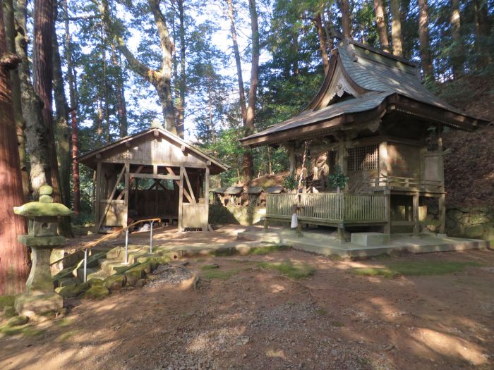 丹波篠山市矢代/大歳神社写真