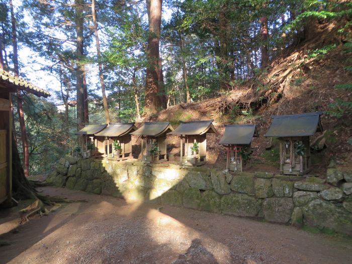 丹波篠山市矢代/大歳神社写真