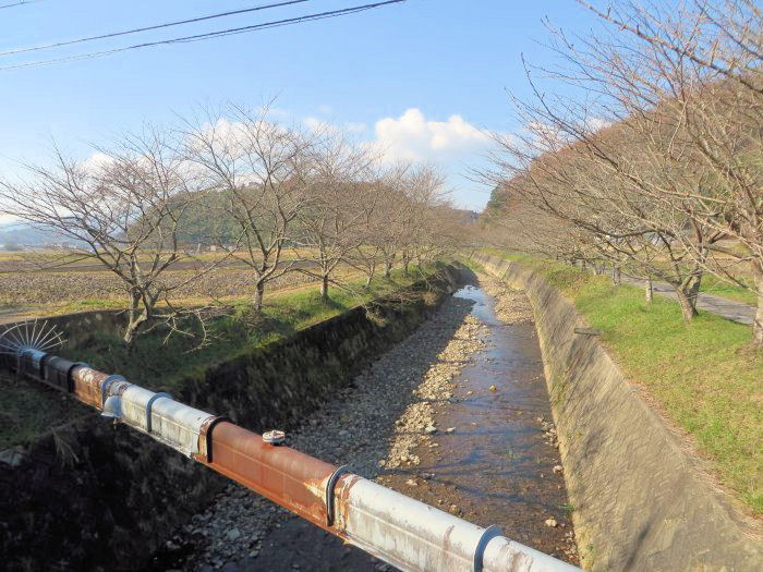 丹波篠山市寺内/新黒岡川写真