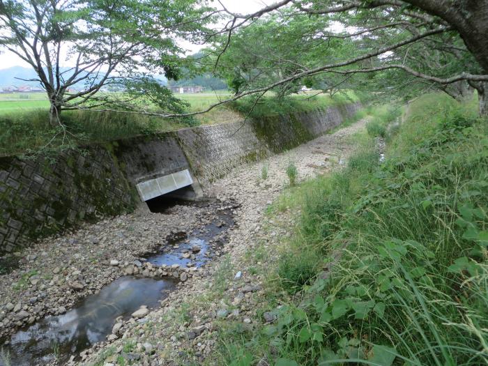 丹波篠山市寺内/新黒岡川写真