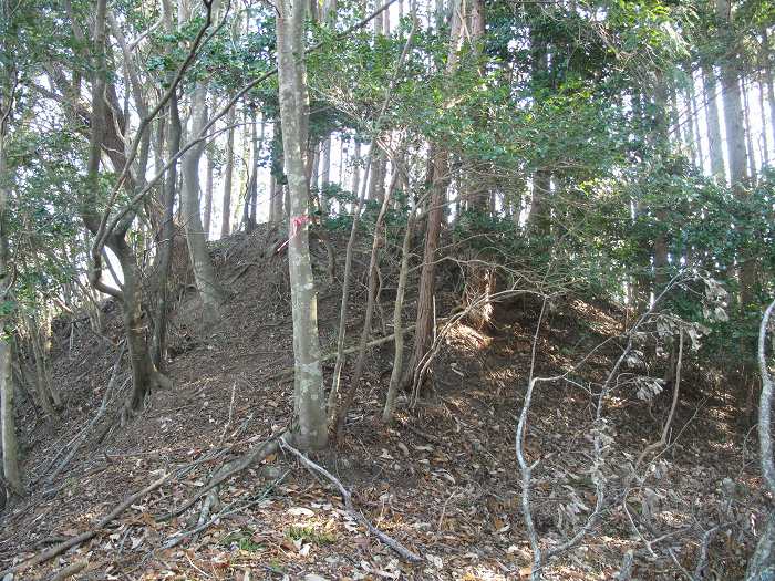 丹波篠山市大熊/笛吹山(太鼓山)写真