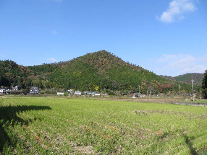 丹波篠山市瀬利/八百里山写真