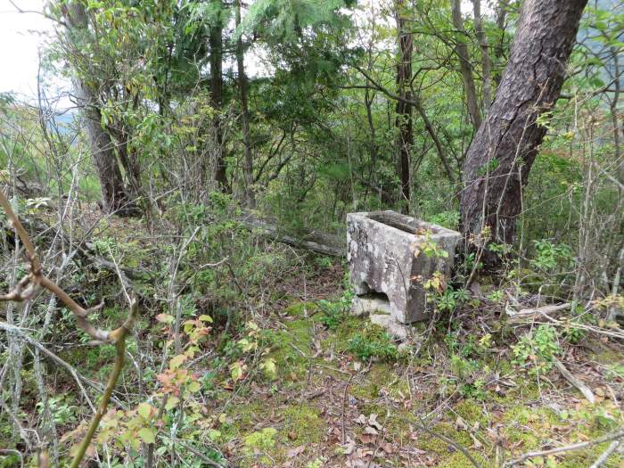 丹波篠山市瀬利/八百里稲荷神社手水場写真