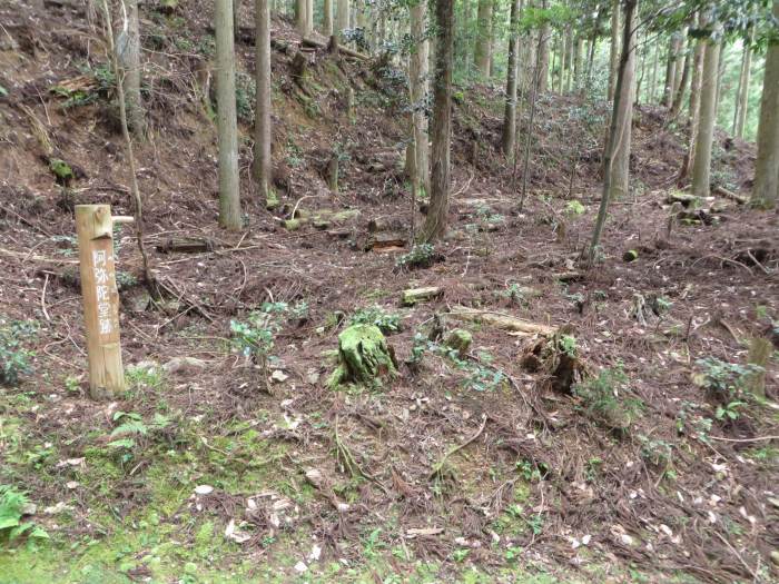 丹波篠山市藤岡奥/岩屋観音阿弥陀堂跡写真