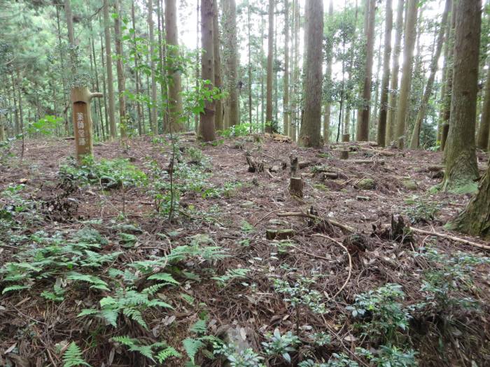 丹波篠山市藤岡奥/岩屋観音薬師堂跡写真