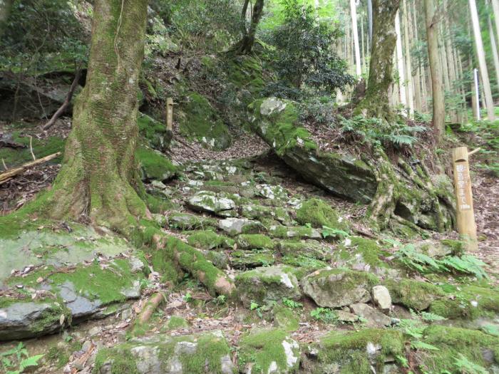 丹波篠山市藤岡奥/岩屋観音睨み岩写真