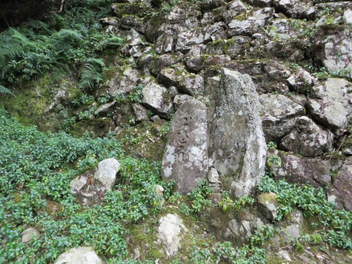 丹波篠山市藤岡奥/岩屋観音石塔写真