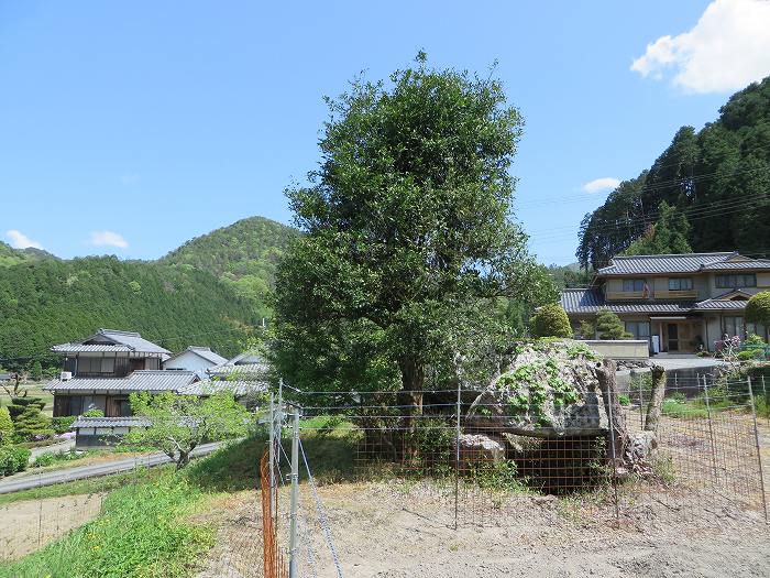 丹波篠山市藤岡奥/塚谷古墳写真