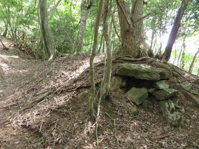 丹波篠山市火打岩/御嶽祠写真