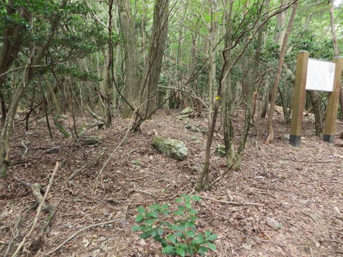 丹波篠山市火打岩/御嶽大岳寺跡写真