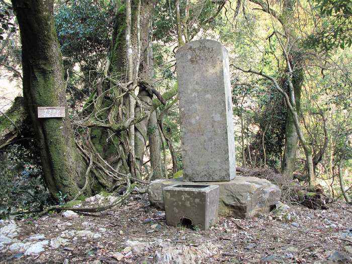 丹波篠山市丸山/葆沢池写真