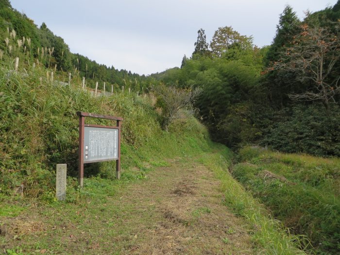 丹波篠山市火打岩/承明門院供養塔写真