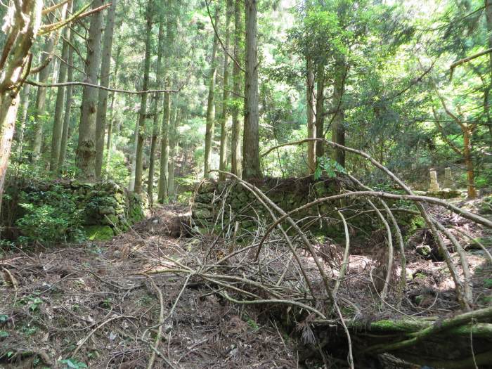 丹波篠山市火打岩/承明門院供養塔写真