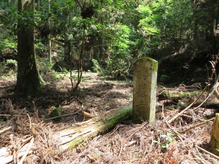 丹波篠山市火打岩/承明門院供養塔写真