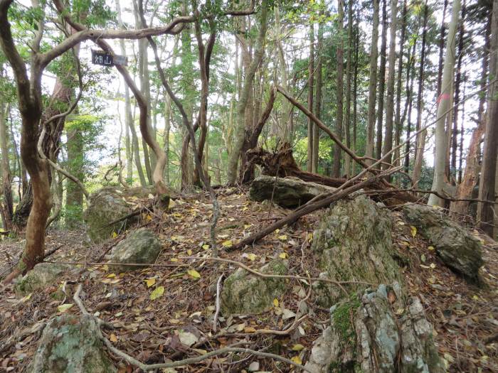 丹波篠山市火打岩/畑山写真