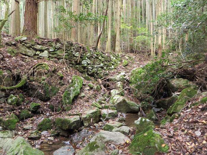 丹波篠山市火打岩/宝塔寺坊跡写真