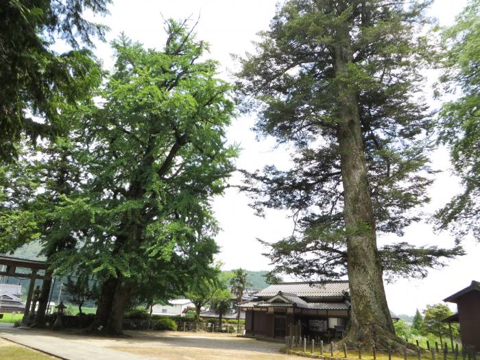 丹波篠山市大山宮/追手神社写真