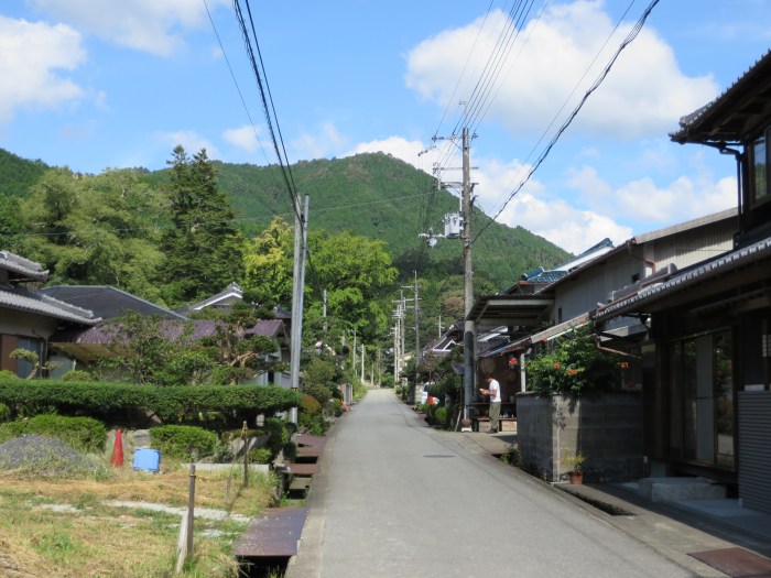 丹波篠山市追入/金山・金山城跡写真