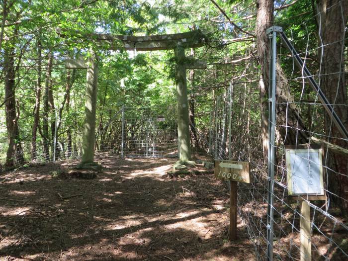 丹波篠山市追入/金山・金山城跡写真