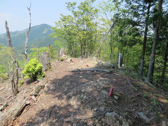 丹波篠山市追入/金山・金山城跡写真