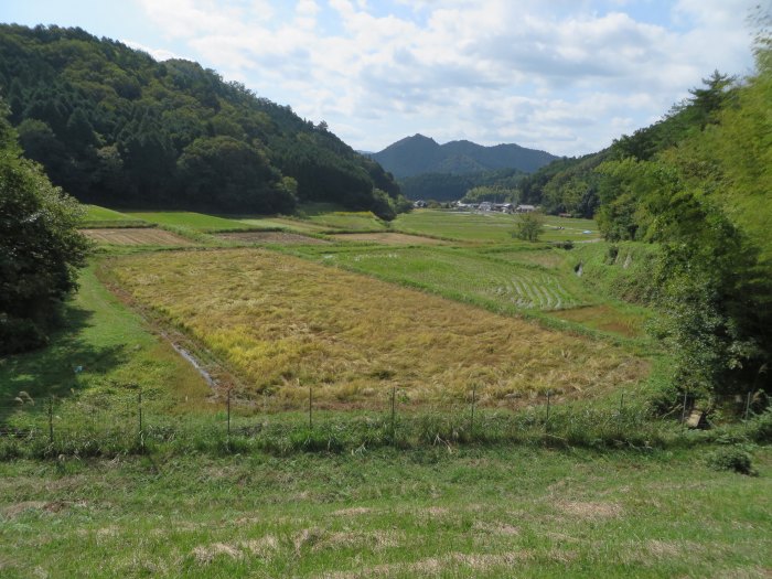 丹波篠山市一印谷/大谷池写真