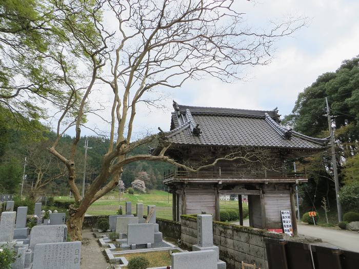 丹波篠山市高倉/宝橋山高蔵寺写真