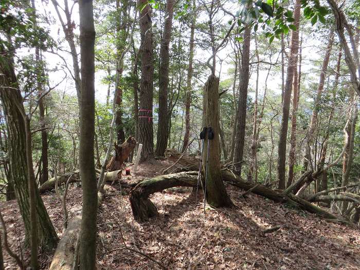 丹波篠山市大山宮/横峰山写真