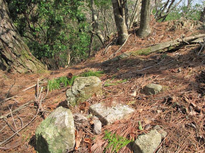 丹波篠山市長安寺/大ヶ谷写真