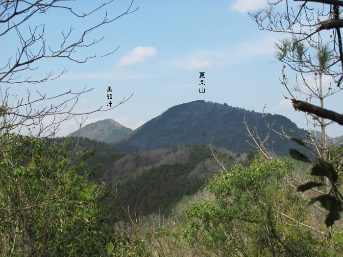 丹波篠山市長安寺/大ヶ谷写真