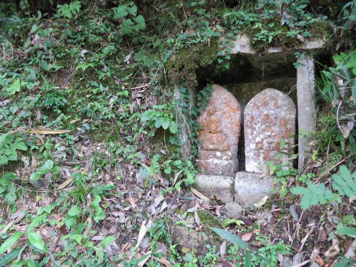 丹波篠山市上板井/三尾山弘誓寺写真