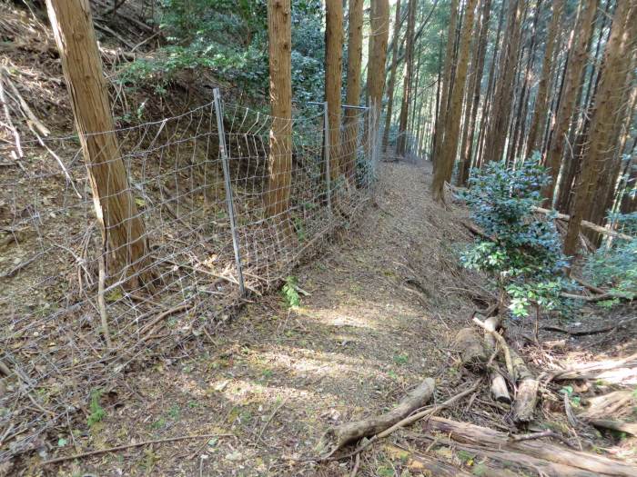 丹波篠山市打坂/打坂峠写真