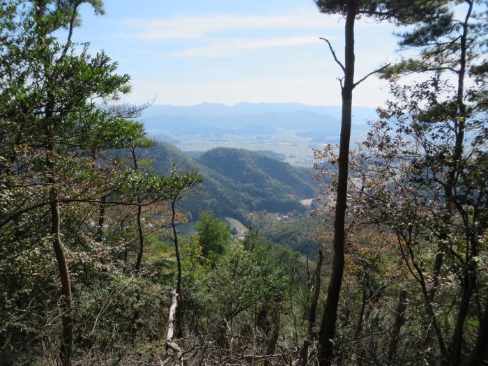 丹波篠山市打坂/法連坊山写真