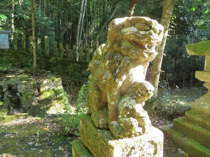 丹波篠山市打坂/八坂神社写真