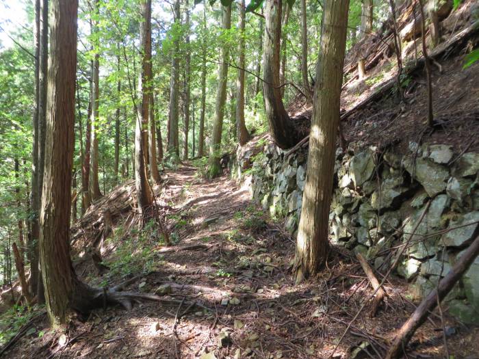 丹波篠山市追入/瓶割峠・国領坂写真