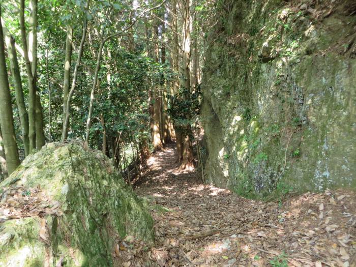 丹波篠山市小坂/鏡峠・鏡岩写真