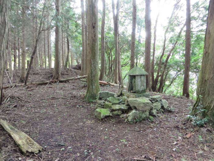 丹波篠山市小坂/夏栗山写真