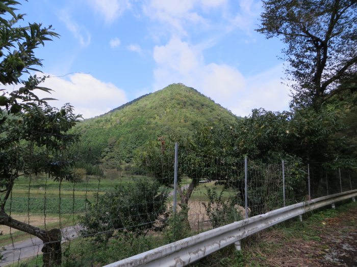 丹波篠山市小坂/夏栗山写真