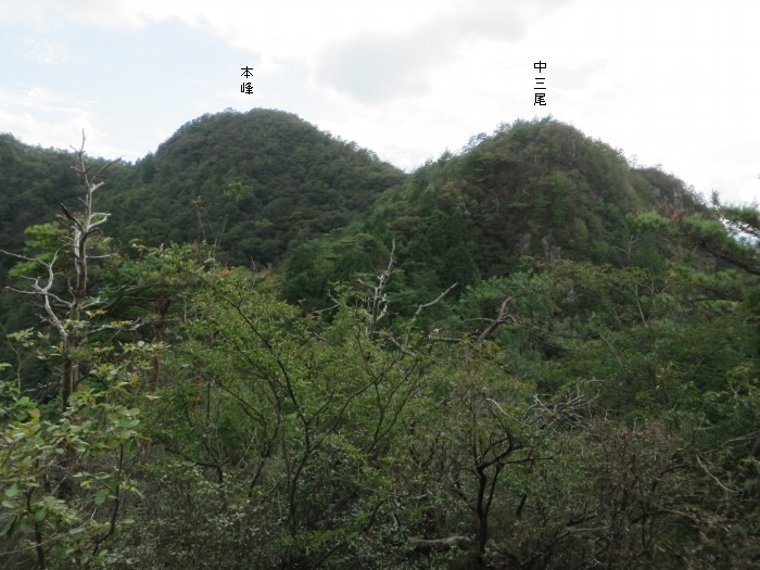 丹波篠山市小坂/三尾山写真