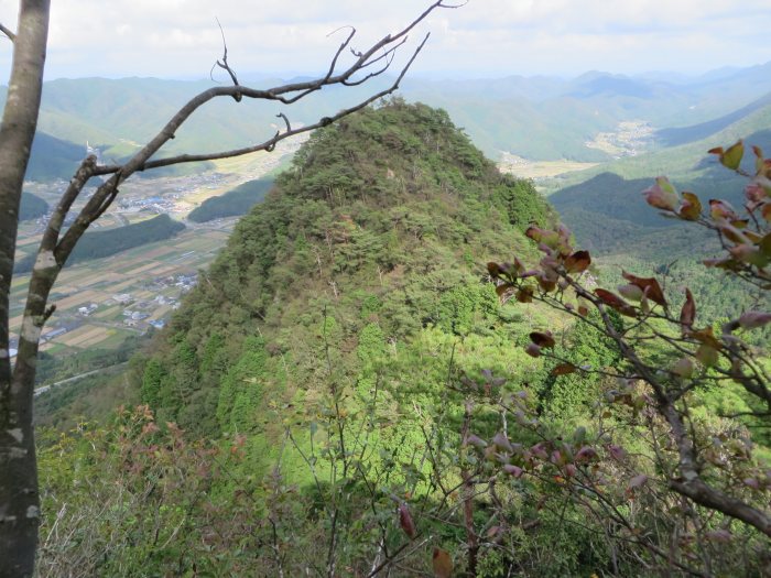 丹波篠山市小坂/三尾山写真