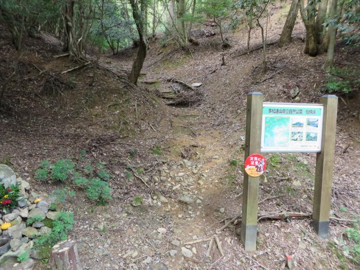 丹波篠山市小坂/三尾山写真