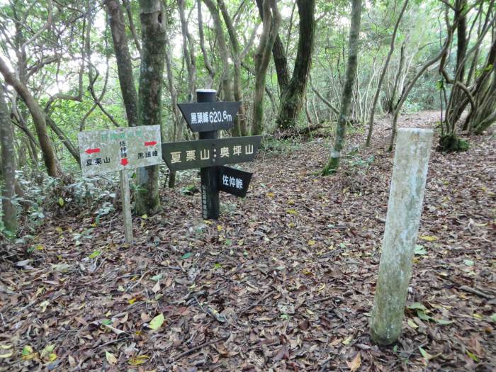 丹波篠山市小坂/黒頭峰写真