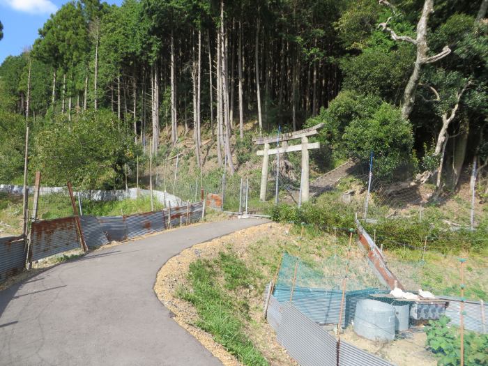 丹波篠山市倉本/八幡神社写真