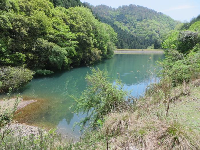 丹波篠山市小坂/四王寺池写真