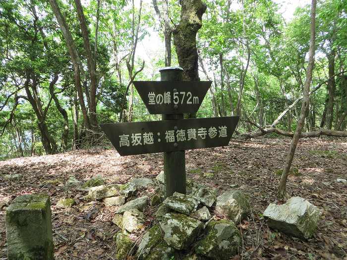 丹波篠山市倉本/堂の峰写真