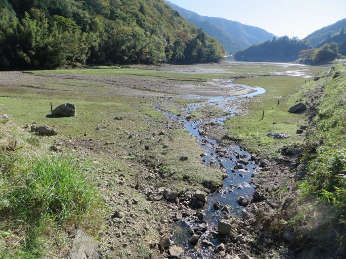 丹波篠山市坂本/五坊谷池写真